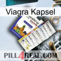 Viagra Capsule 11